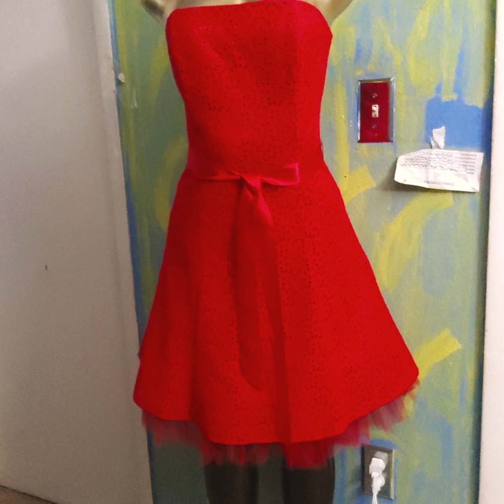Jessica McClintock Gunna event dress size9